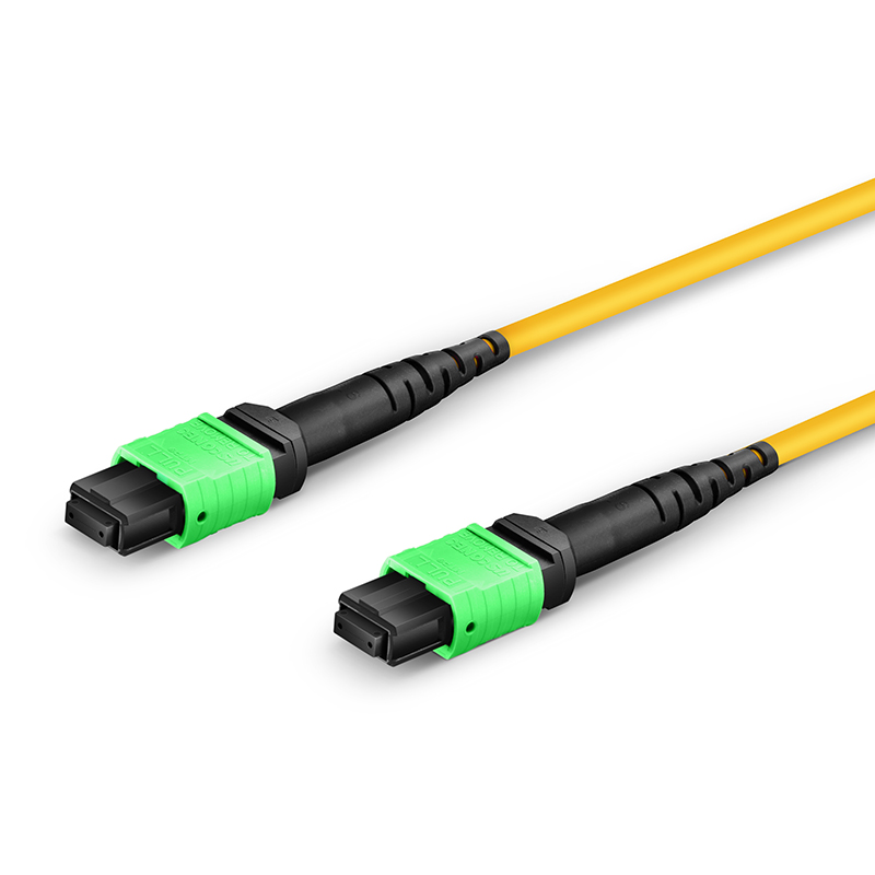 MTP-24 Conversions Cable