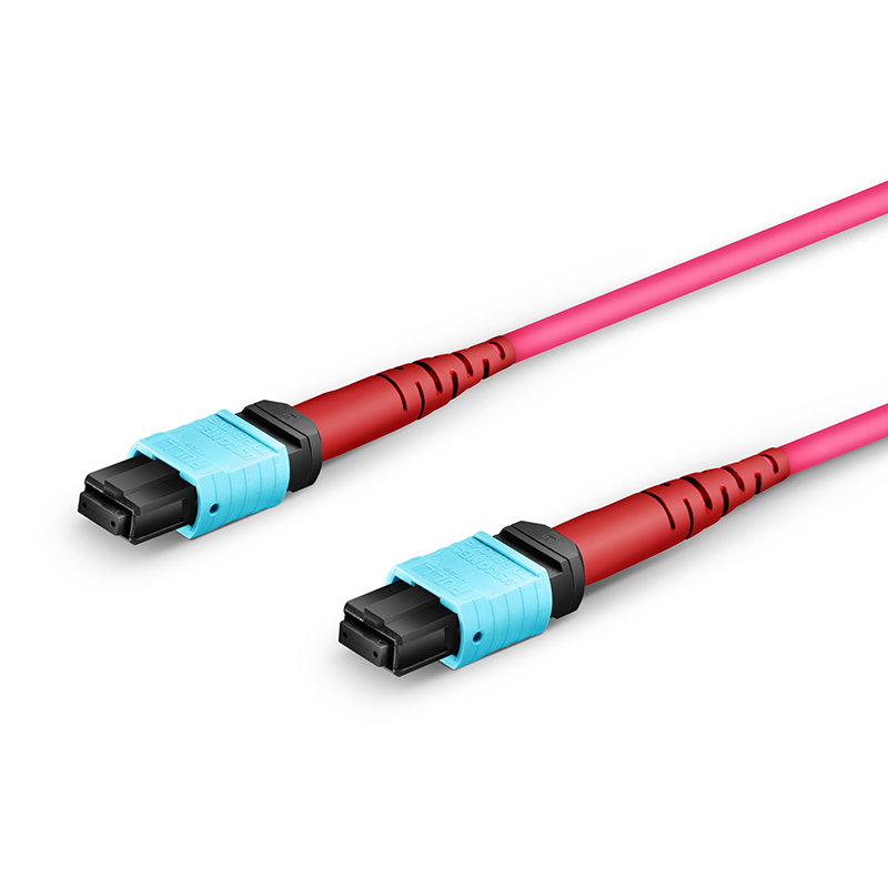 MTP/MPO 12 Core (2X12F) Trunk Jumper