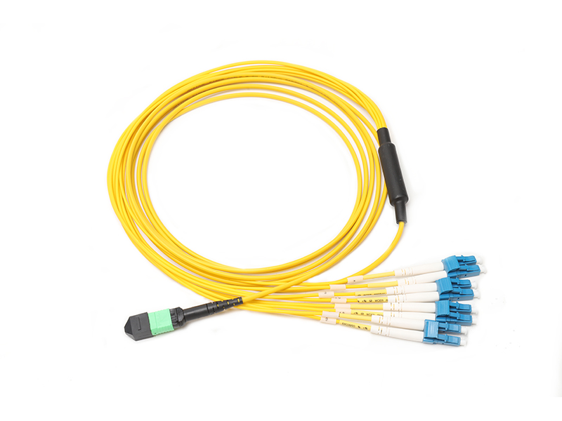 MPO 8 to 4x LC Branch Jumpers