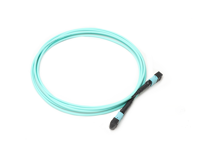 OM4 MTP12 Patch Cord