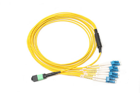 MPO 8 to 4x LC Branch Jumpers