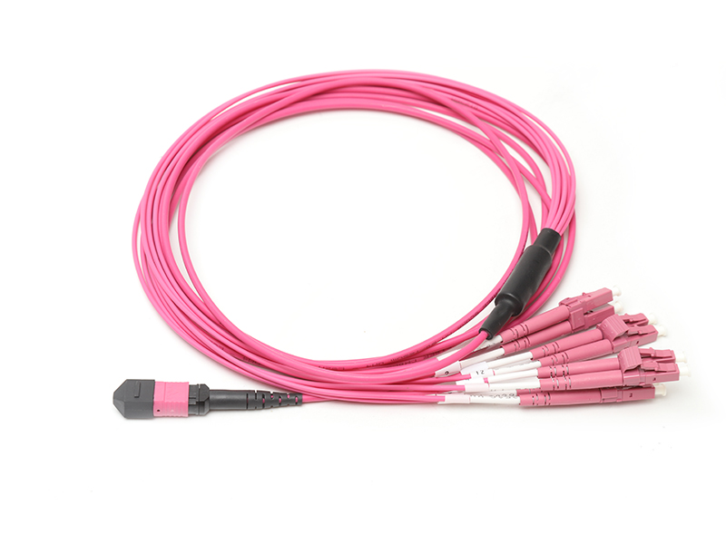 MTP 16 to 8x LC Branch Jumper