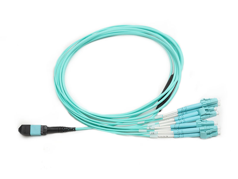 MTP 8 to 4x LC Branch Jumpers