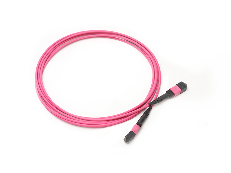 OM4 MTP12 Core Jumper